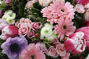 Centerville Florist