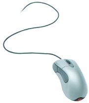 Photo of a computer mouse