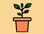 Fall Container Gardening