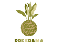 Kokedama