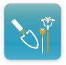 Home Icon